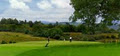 Castleisland Golf Club image 2