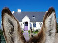 Clondanagh Cottage image 1