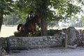 Clonshire Equestrian Centre image 4