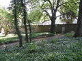 Colclough Walled Garden image 3