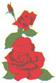 College Road Florists logo