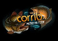 Corrib Tackle logo