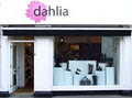 Dahlia Shoe Boutique logo