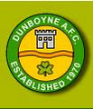Dunboyne AFC image 2