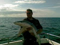Ewings Sea Angling and Boat Charters image 4