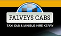 Falveys Taxi & Minibus Hire logo