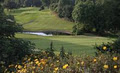 Forrest Little Golf Club image 3