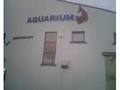 Galway Atlantaquaria, National Aquarium of Ireland image 5