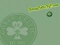 Gorey Celtic Football Club image 2