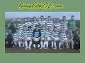 Gorey Celtic Football Club image 4
