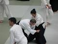 Irish Aikido Federation image 4