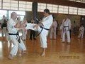 Irish Shotokan Academy image 1