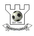 Johnstown Castle Football Club image 1