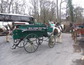 Killarney Horse and Carriage Tours image 2