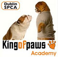 KingOfPaws Academy By Dublin SPCA - Dog Training image 1
