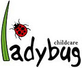 Ladybug Creche & Montessori logo