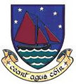 Loughrea Town Council image 2