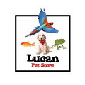 Lucan Pet Store - Pet Shop image 4