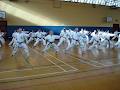 Mayfield Renshukan Karate Club image 2