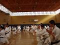 Mayfield Renshukan Karate Club image 4