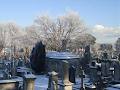 Mount Jerome Cemetery & Crematorium image 2