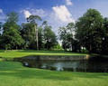 Mount Juliet Golf Club and Luxury Hotel image 2