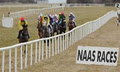 Naas Racecourse image 3
