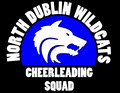 North Dublin Wildcats Cheerleading Squad image 3