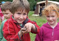 OWLS - Ireland's Children's Nature Club image 2