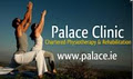 Palace Clinic logo