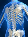 Posture and Spinal Correction Chiropractic Clinic :: Cobh Co. Cork image 1