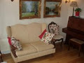 Ross House B&B Galway image 5