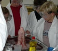 ScienceMania Science summer camps for kids in Boyle and surrounding areas image 1