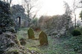 Shankill Castle image 4
