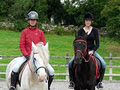 Slieve Aughty Riding Centre image 2