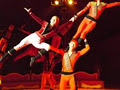 Tom Duffy's Circus image 4