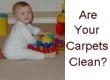 Ultimate Carpet Cleaning Company image 2