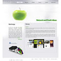 Web Design DD1studio image 3