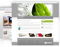Web Design Leitrim image 2
