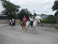 West Clare Equestrian Centre image 2