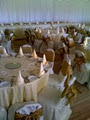chair covers express ltd image 2