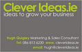 cleverideas.ie image 1