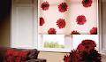 window style/cloghan blinds image 5