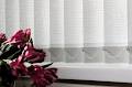 window style/cloghan blinds image 6