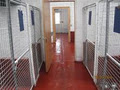 A Bed Bath and Biscuit Dog Boarding Kennels & Grooming image 3
