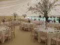 All in One Event Hire image 4
