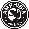 Amphibia image 3