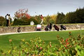 Ballinrobe Golf Club logo
