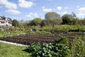 Blueberry Hill Farm Sneem image 5
