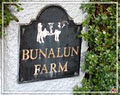Bunalun Farmhouse image 5